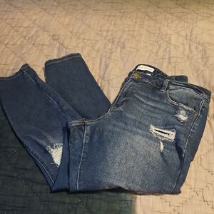 Lane Bryant Dark Blue Distressed Skinny Jeans